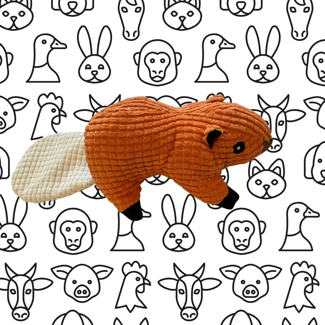 Squeaky Squirrel Dog Toy