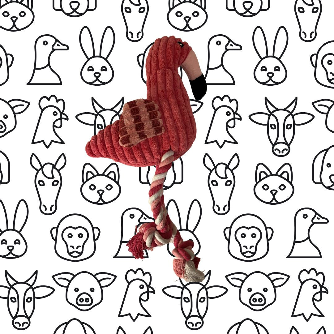Squeaky Stuffed Flamingo Dog Toy