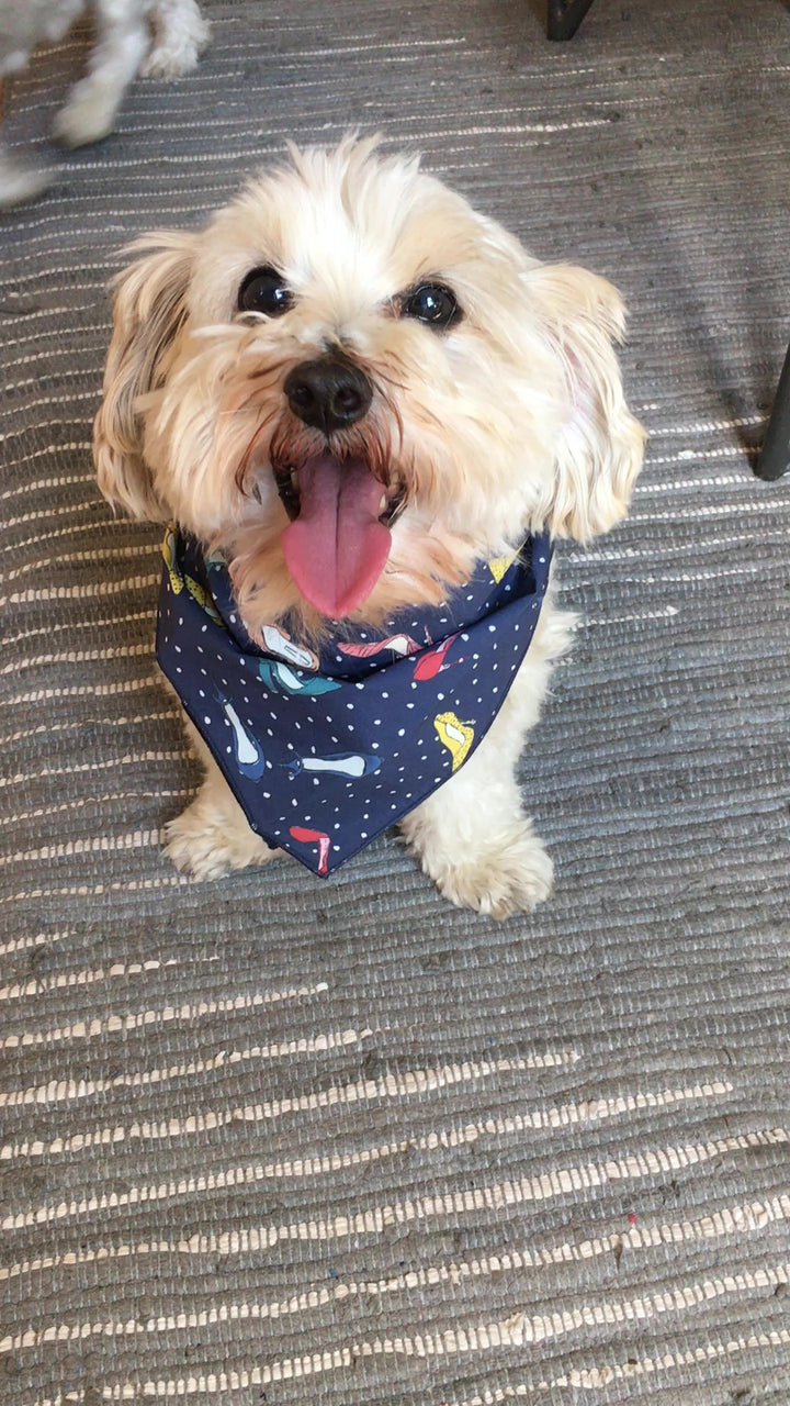 The Cameron Bandana