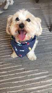 The Cameron Bandana