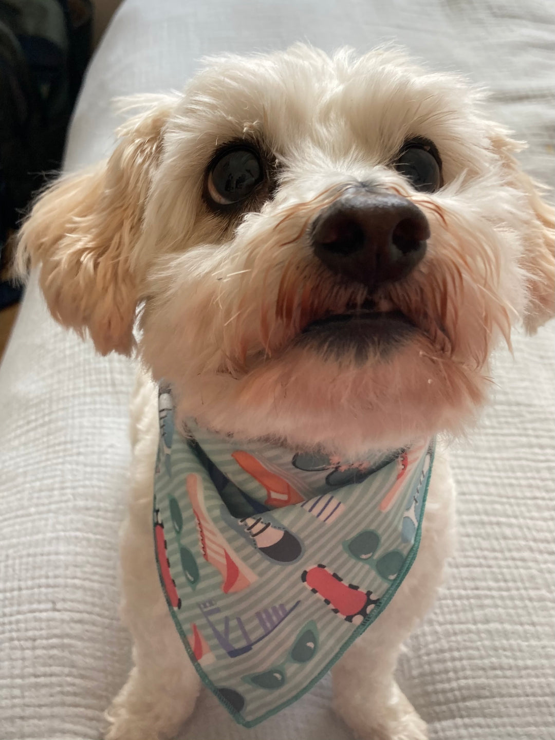 The Ali Bandana