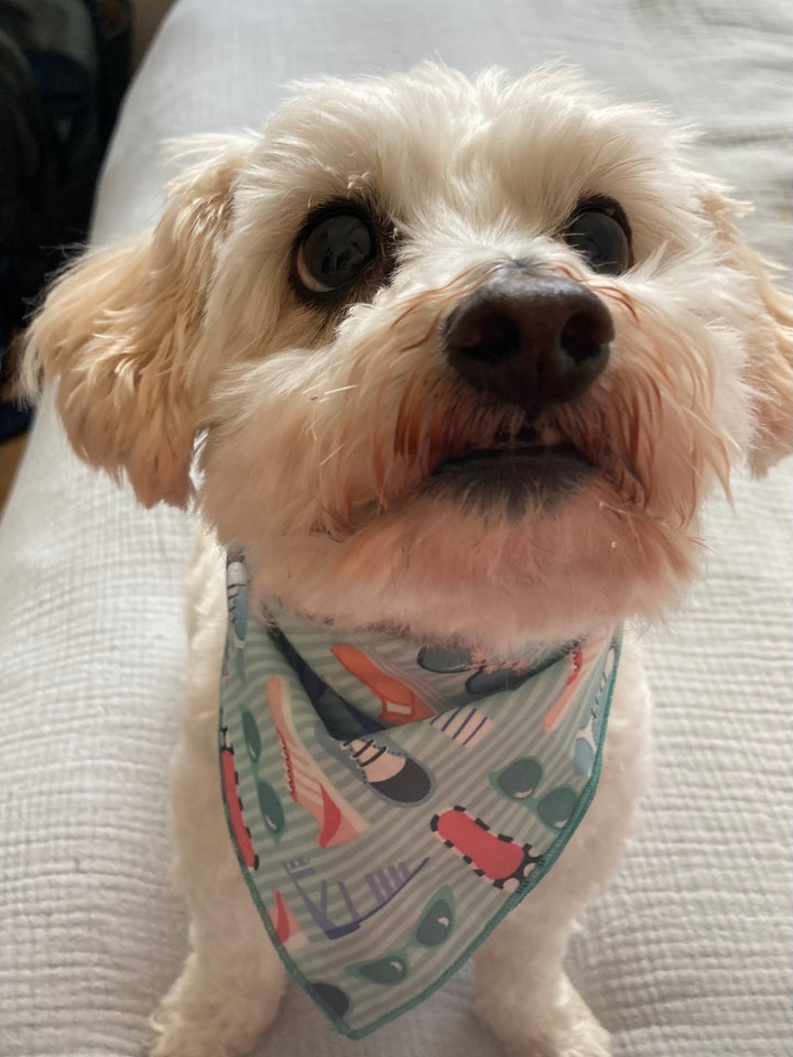 The Ali Bandana