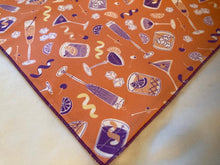 Load image into Gallery viewer, The Murphy Bandana
