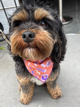 Load image into Gallery viewer, The Murphy Bandana
