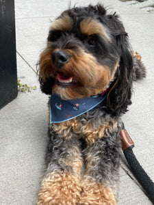 The Ozzie Bandana