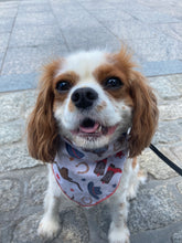 Load image into Gallery viewer, The Tex Bandana
