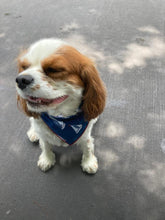Load image into Gallery viewer, The Caroline Bandana

