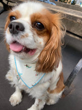 Load image into Gallery viewer, The Dude Bandana
