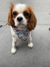 Load image into Gallery viewer, The Miles Bandana
