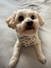 Load image into Gallery viewer, The Sam Bandana
