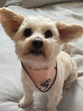 Load image into Gallery viewer, The Pink Monkey Bandana
