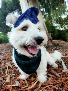 The Lewis Bandana