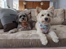 Load image into Gallery viewer, The Ollie Bandana
